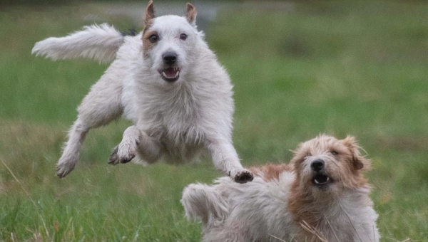Wenn man hinter seinen Möglichkeiten bleibt